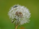 Spaziergang auf Wolke 7