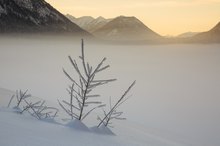 Im Nebel eigehüllt …