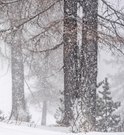 Kurz vor dem Schneesturm