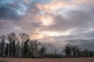 <Morgens über der Mosel