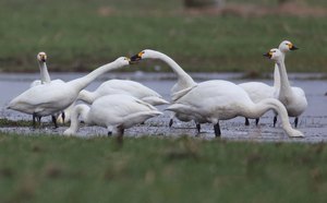 Mit Gruß an Ralf und die freundlichen Kommentatoren...