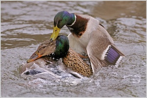 ...und das soll Liebe sein