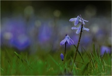 Nach dem Regen