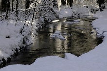 Ein Wintermärchen