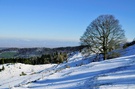 Letzter Schnee in den Vogesen ?