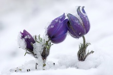 Frohe Ostern!