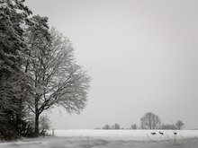 ein kleiner Spaziergang