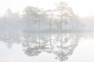 Spiegelung im Nebel