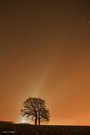 Die Stille der Nacht genießen.