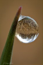 Wassertropfen Experiment