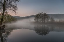 Nebelschwaden in den Lahn Auen