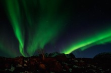 aurora borealis in mondloser nacht