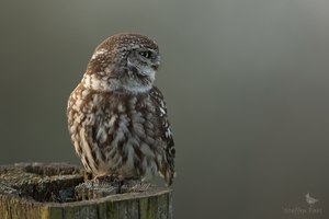 Kalter, aber wunderbar ruhiger, Aprilmorgen