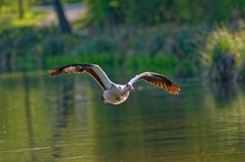 Flug in den Feierabend