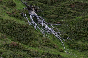 Im Kreislauf des Lebens