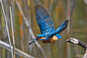 Abflug