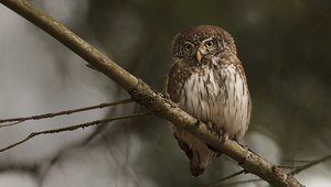 Nach einer langen Wanderung...