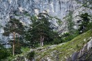 Einfach nur ein Stückchen Bergwelt zeigen.