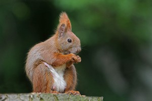 Mama macht mal Pause...