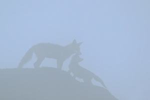 kurze Spielunterbrechung