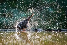 36 Grad und es wird noch heißer