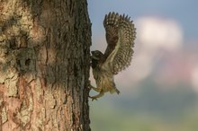 der erste Ausflug
