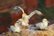 Familienplanung im Abendlicht