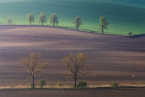 Der Morgen erwacht