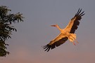 etwas Urlaubsnaturfotografie