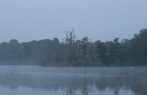 Leben auf dem See....