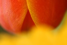 Schön Bunt