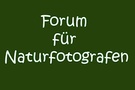Diskussionen