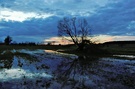 Sonnenuntergang auf einem Feld.