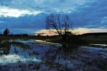 Sonnenuntergang auf einem Feld.