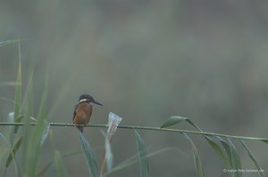 Der schönste Platz …