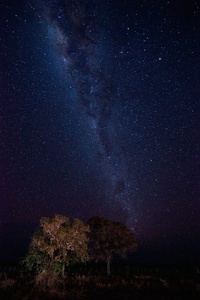 Sternenhimmel im Pantanal