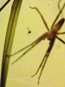 Leider war es ganz unmöglich....