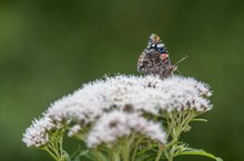 Ende der Landebahn