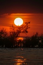 Sonnenuntergang am Bodensee