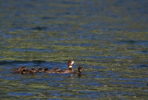 Familienausflug