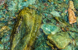 Trinkwasserqualität