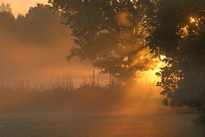 auch im dortmunder Norden