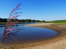 Elbstrand