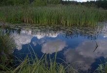 Naturparadies vor der Haustür