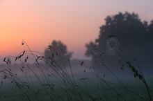 war das schon der Altweibersommer