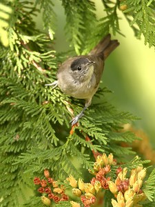 Unterwegs gen Süden...