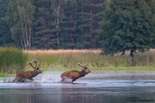 Klare Verhältnisse...