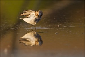 „Ganz entspannt“