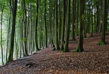 Stubnitz in knallgrünen Beinkleidern