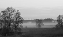 Landschaft im Nebel